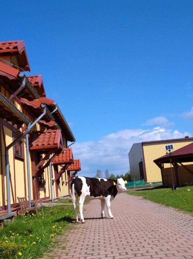 Pensjonat Przy Stajni Kierzkowo  Exterior foto